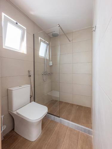 a bathroom with a toilet and a shower at Emi Seaside in Amoudara Herakliou