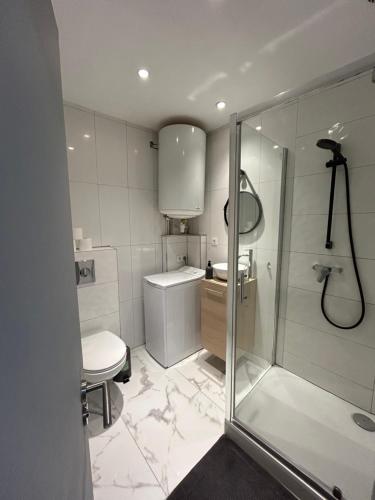 une salle de bain avec douche et toilettes dans l'établissement Logement au centre de Strasbourg, à Strasbourg