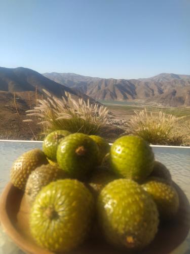 Gallery image of Casa Puclaro, terraza panorámica Valle del Elqui in Vicuña
