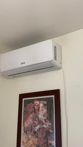 eine Mikrowelle auf einer Wand mit Bild in der Unterkunft Deluxe studio & apartments Alexander in Čačak