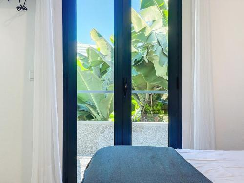 a window with a view of a plant at Madeiran Sweet Home in Panasqueira