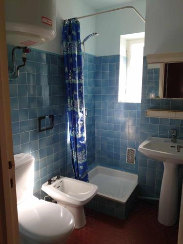 La salle de bains est pourvue de carrelage bleu, de toilettes et d'un lavabo. dans l'établissement 3VSE-ALZ210 Studio équipé pour 3 personnes au 2ème étage parking, à Collioure