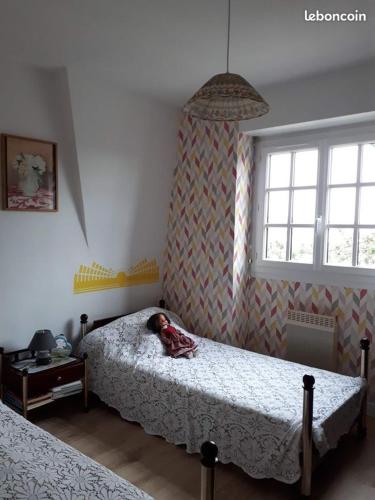 appartement T3 tout confort