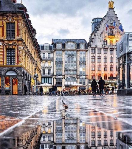 Photo de la galerie de l'établissement Le Refuge du Pelletier, à Lille