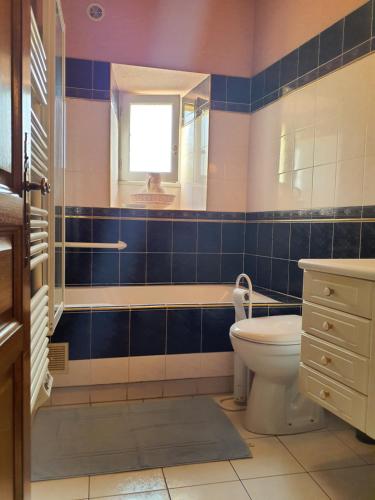 une salle de bain avec toilettes, lavabo et miroir dans l'établissement Gîte de Louis - Terrasse - Centre de Domme, à Domme