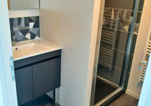 une salle de bain avec un lavabo et une douche dans l'établissement Le CHAI MALICIEUX, à La Tremblade