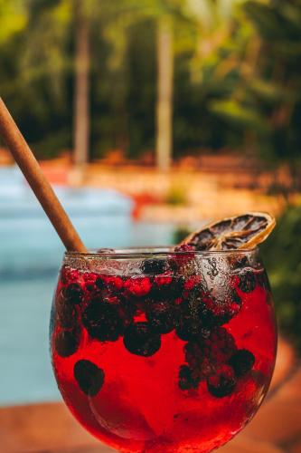 a red drink with a stick in a glass at La Aldea De La Selva Lodge in Puerto Iguazú
