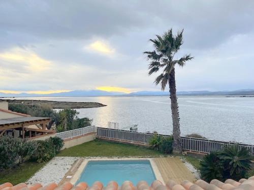 una palmera y una piscina junto al agua en Villa piscine privée superbe Vue Etang Leucate 8JBART580, en Port Leucate