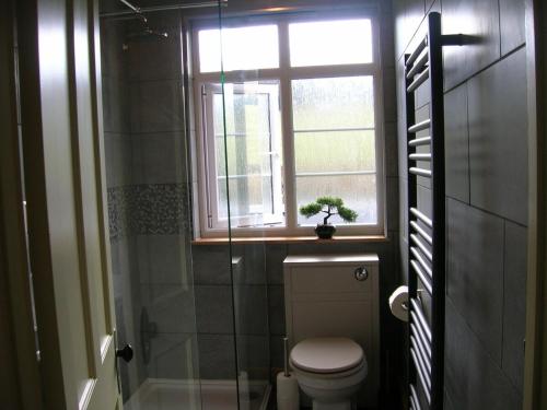 a bathroom with a toilet and a window and a shower at Bevan House with Hot Tub in Mid-Wales in Hundred House