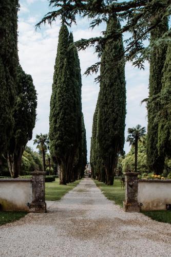 a path through a park with cypress trees at Wine Relais Villa Cipolla Pieropan in Tregnago