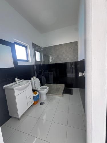 un bagno con un water e un lavandino di Académico do Sal a Espargos