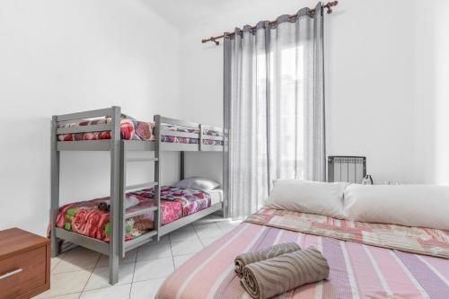 MO109 - Loreto - Duomo- Large -