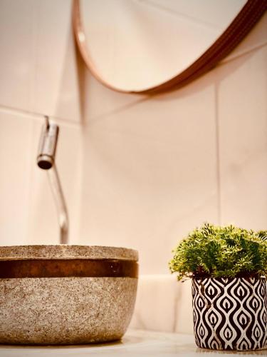 a bathroom sink with a faucet and a potted plant at Pousada Casinha Amarela - Campos do Jordão in Campos do Jordão
