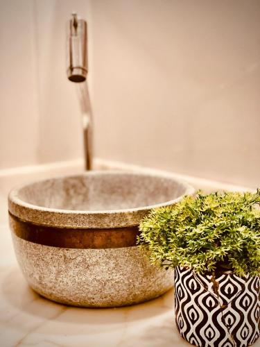 a bathroom sink with a faucet and two plants at Pousada Casinha Amarela - Campos do Jordão in Campos do Jordão