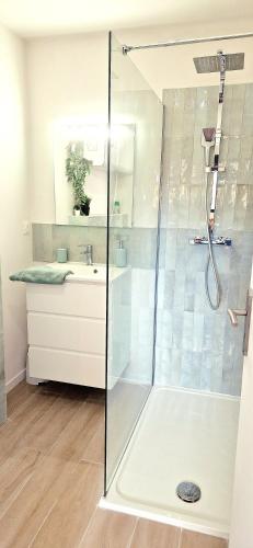 une salle de bain avec douche et lavabo dans l'établissement Villa Cosy - Proche Bordeaux, à Parempuyre