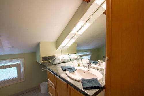 a bathroom with a sink and a mirror at Valmy in Brantôme