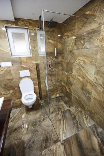 a bathroom with a toilet and a shower at Apartment Azulmburgo in Vrnjačka Banja