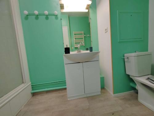 une salle de bain avec un lavabo et des toilettes dans l'établissement Appt Studio LA ROCHELLE - LR110-F56, à La Rochelle