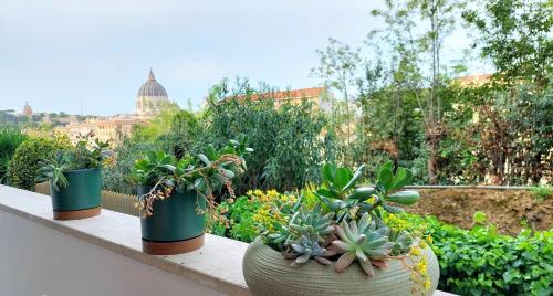 Delmirani's Book Apartments - Vatican View photo 148