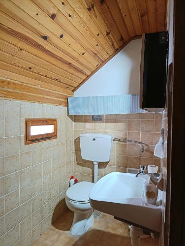 a bathroom with a toilet and a sink and a tub at Woodman’s home in Vlatanéoi