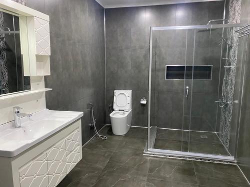 a bathroom with a shower and a toilet and a sink at Villa Mayak in Baku