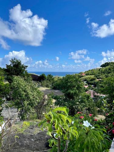 a view of the ocean from a hill with plants at Villa Boa in Marigot