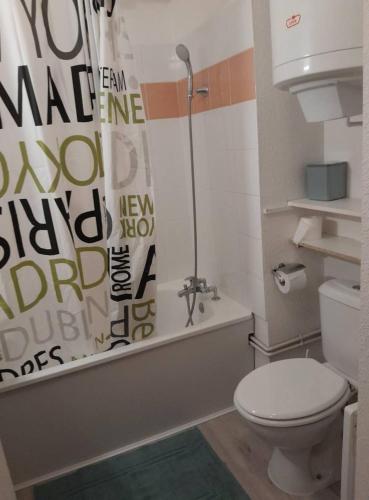 La salle de bains est pourvue de toilettes et d'une douche murale. dans l'établissement Charmant studio balcon idéalement placé, à Nîmes