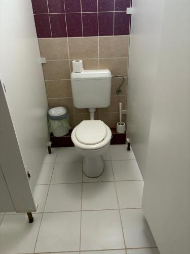 a small bathroom with a toilet in a stall at Sárga Csikó vendégház in Debrecen