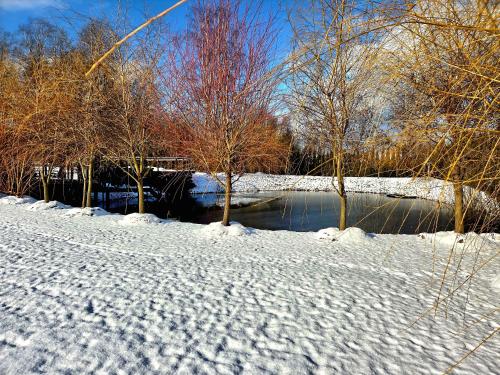 a snow covered field with trees and a river at Egliškių Oazė Sodyba su pirtimi kubilu- privatumas garantuotas in Vilnius