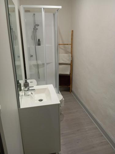 une salle de bain blanche avec un lavabo et une douche dans l'établissement Grand Studio chambre séparée, à Arpajon-sur-Cère