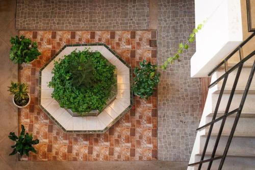 イキトスにあるApart Hotel La Riveraのギャラリーの写真