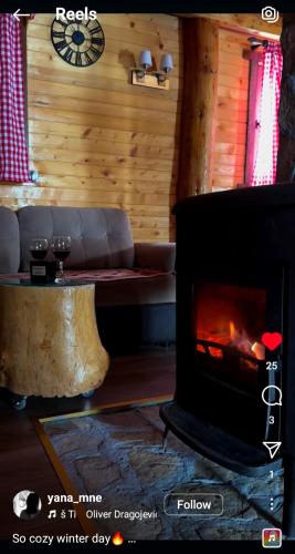 a living room with a couch and a fireplace at Family Farm Apartments in Žabljak