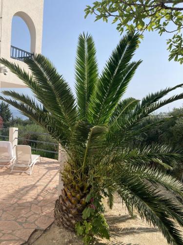 Κήπος έξω από το Villa Ocean Breeze Terracce
