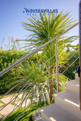a palm tree sitting next to some stairs at Villa Zuzana in Calabernardo