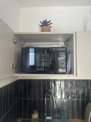 un four micro-ondes dans une étagère au-dessus d'un évier de cuisine dans l'établissement Studio Prestige Le Chêne Doré Climatisé avec terrasse au cœur du centre touristique cité des loisirs 200 m du Galaxie parking gratuit privatif, à Amnéville