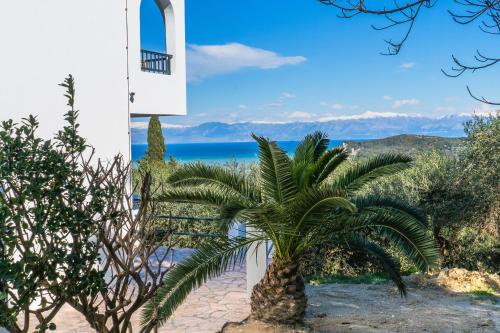 Φυσικό τοπίο κοντά σε αυτό το διαμέρισμα