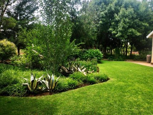 a garden with green grass and plants in a yard at Magalies B&B SPITSKOP in Bloemfontein