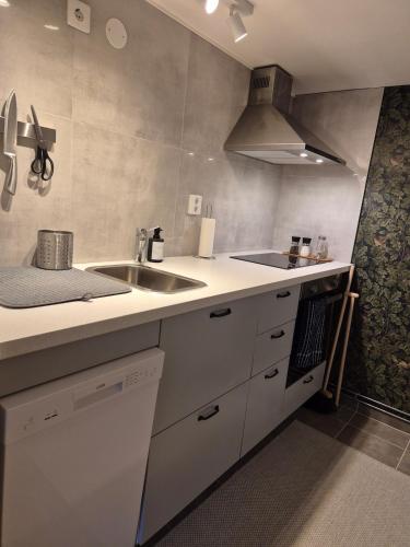 a kitchen with a sink and a counter top at Stay near Elmia and Vätterstranden in Jönköping