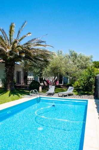 une piscine avec un palmier et une maison dans l'établissement Villa entre Mer et Cévennes, à Villetelle
