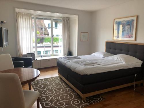 Charming Studio in the old town - UZ3