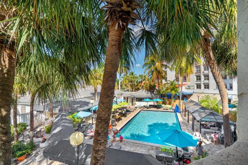 an overhead view of a pool with palm trees at Hotolos Hollywood in Hollywood