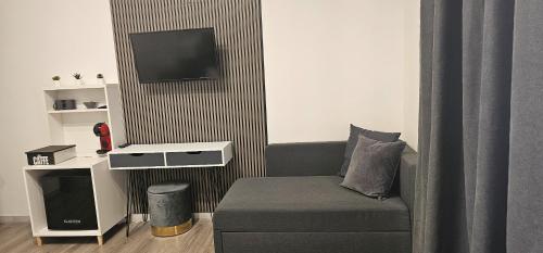 a living room with a couch and a flat screen tv at Vittoria's rooms in Rome