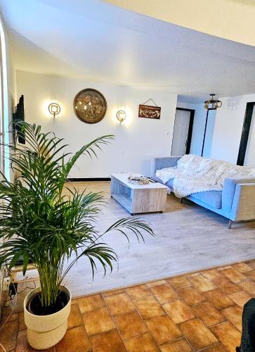 un salon avec un lit bleu et une plante en pot dans l'établissement Le Gîte de la Crégut, à Trémouille