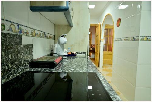 Dapur atau dapur kecil di Apartamentos MERIDA LUDICA parking gratis en el centro de la ciudad