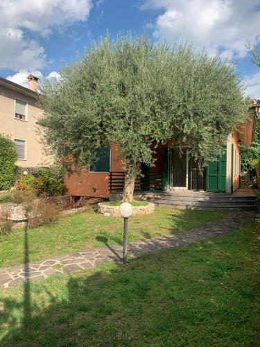 a house with a tree in front of it at Villetta Mari in Torri del Benaco