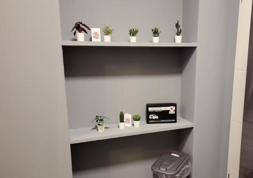 a shelf with potted plants and a box on it at Flensburg Süd in Flensburg