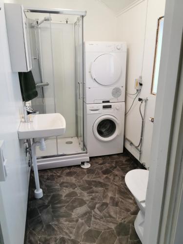a bathroom with a washing machine and a sink at Guldklimpens Vandrarhem in Gunnarn