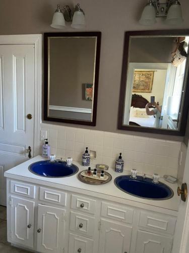 a bathroom with two blue sinks and a mirror at Springwood Inn in Anniston