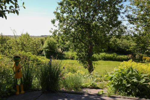 a garden with a tree in the middle of a field at Waldhusen-Warft in Pellworm