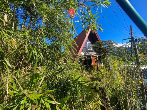 a house on the side of a hill with trees at Barrow family cabana in Nuwara Eliya